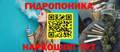 мдма Можга