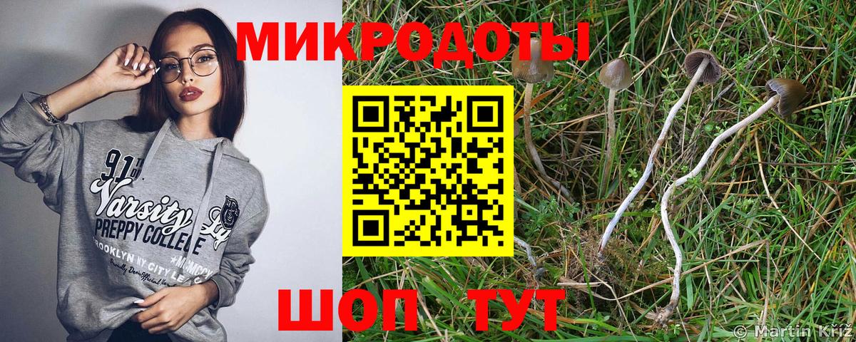 Галлюциногенные грибы прущие грибы Арзамас