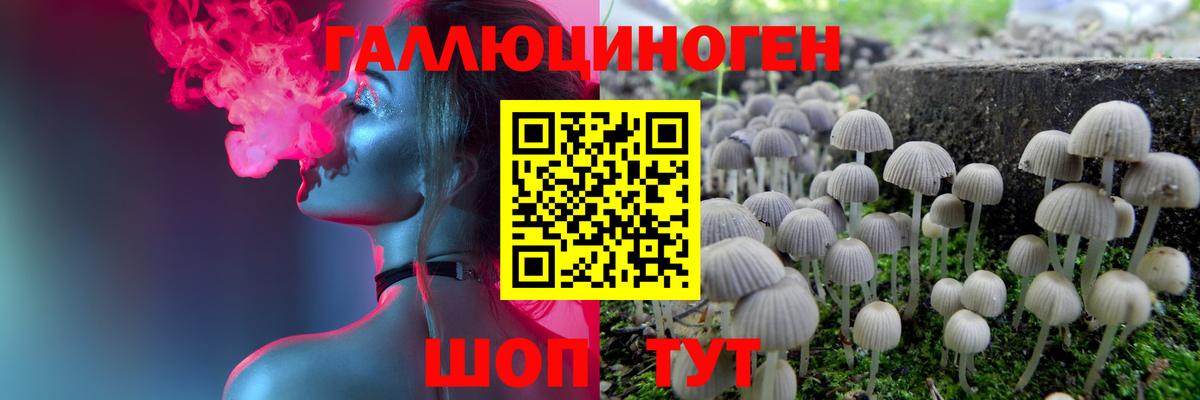 сколько стоит  Псилоцибиновые грибы прущие грибы  Вход с VPN  Арзамас  Псилоцибиновые грибы Psilocybine cubensis 